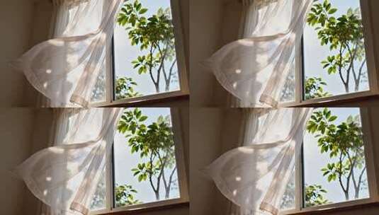 室内窗边飘动的白色窗帘高清在线视频素材下载