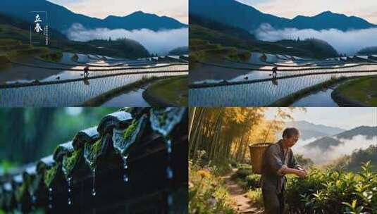 24节气四季美景高清在线视频素材下载