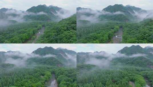 大自然清晨大山云雾缭绕山谷溪流森林氧吧高清在线视频素材下载