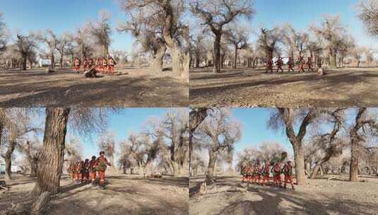 胡杨林武警战士巡逻画面高清在线视频素材下载