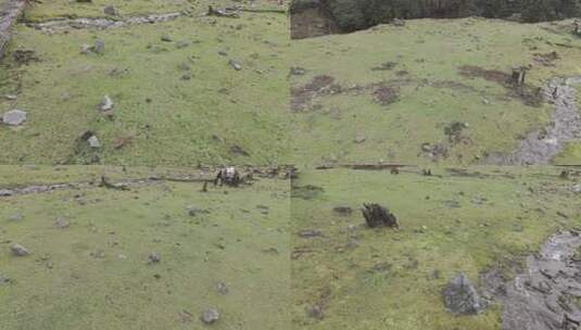 川西沙埋湖水高海拔自然风光视频素材高清在线视频素材下载