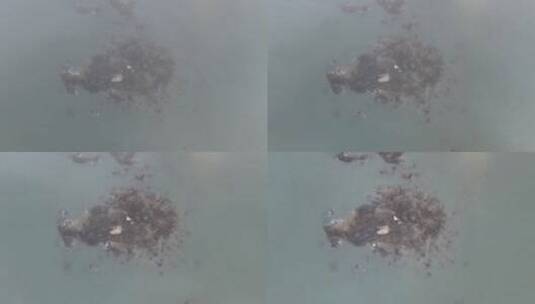 大气航拍福建泉州惠安崇武古城雾天海岸风景高清在线视频素材下载