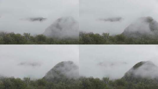 浓雾中的灌木林2高清在线视频素材下载