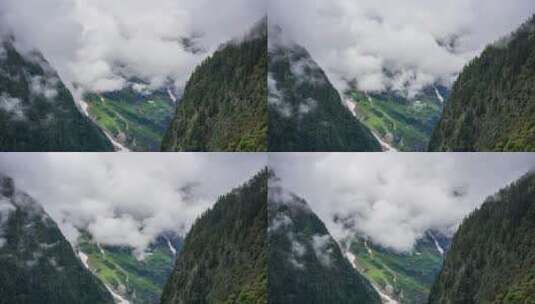藏区雪山下的原始森林溪流云雾高清在线视频素材下载