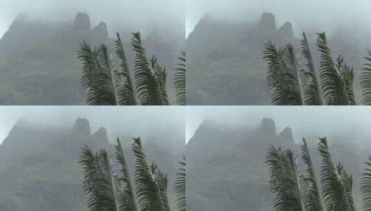 薄雾笼罩的山林景观高清在线视频素材下载