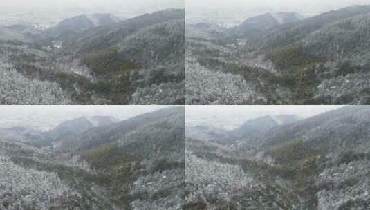 航拍冬天森林雪景高清在线视频素材下载