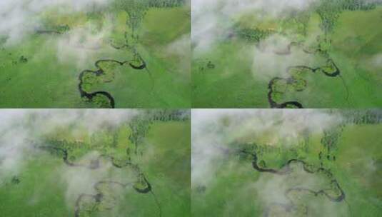 航拍森林湿地河湾晨雾高清在线视频素材下载