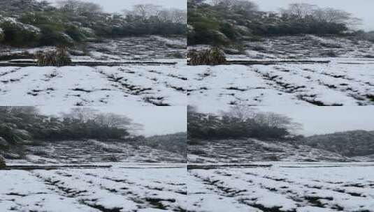 雪景 踏雪进山 雪中行 大雪高清在线视频素材下载