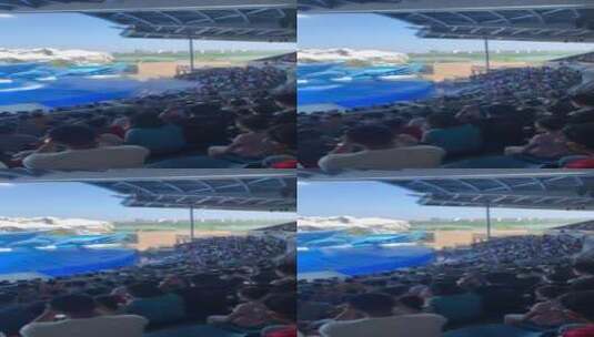 海昌海洋公园高清在线视频素材下载