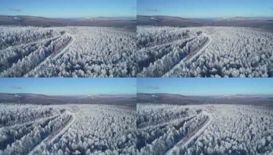 航拍大兴安岭林海雪原雾凇高清在线视频素材下载