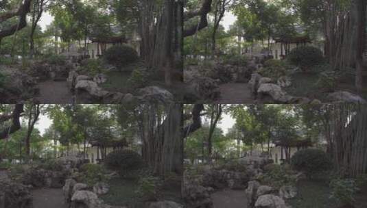 杭州小营公园中共杭州小组高清在线视频素材下载