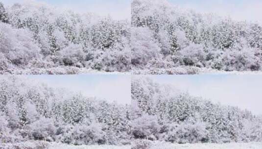 江西三清山雪景高清在线视频素材下载