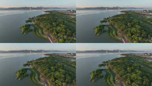 深圳湾城市海边航拍高清在线视频素材下载