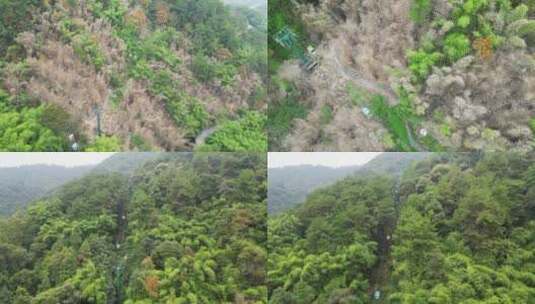 【合集】解除封山后重庆缙云山观光索道运营高清在线视频素材下载