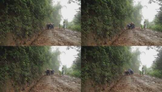 夏季山洪大水冲垮道路村民修路高清在线视频素材下载