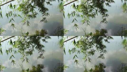 湖边竹林岸边竹子倒影意境空镜高清在线视频素材下载