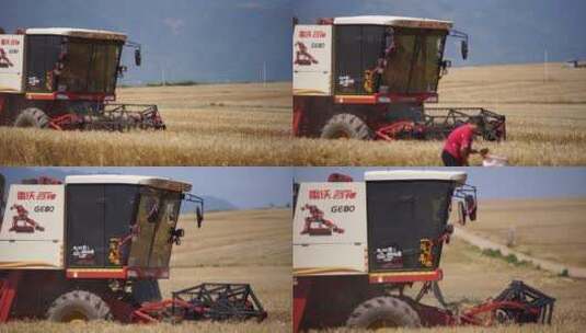 收麦子收割机机器轰鸣4k劳作高清在线视频素材下载