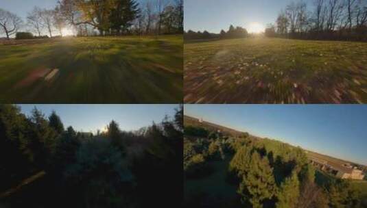 黄昏夕阳森林草坪穿越机航拍高清在线视频素材下载
