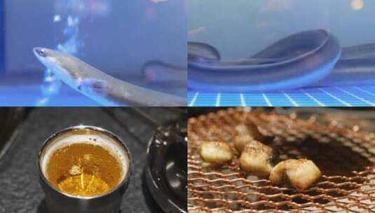 水里游动的鳗鱼炭烤鳗鱼4k视频素材高清在线视频素材下载