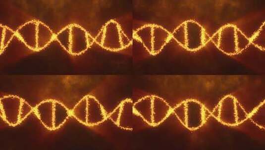 黄金色能量螺旋 dna 科学医学技背景4K高清在线视频素材下载