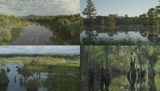 航拍河流湖泊湿地森林树木 (2)高清在线视频素材下载