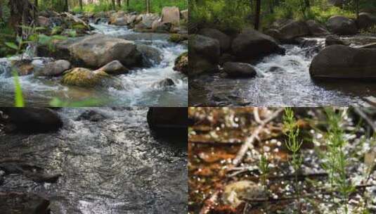 水青苔山泉水流水滴水风景森林自然大自然水高清在线视频素材下载