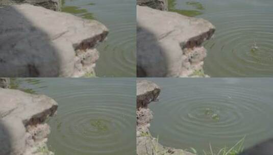 岸边的水滴滴落在水面上高清在线视频素材下载