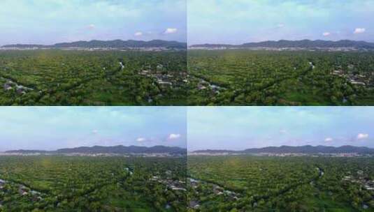 杭州西溪湿地黄昏日落时分航拍高清在线视频素材下载