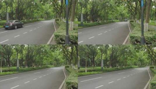城市大道绿树成荫实拍交通高清在线视频素材下载