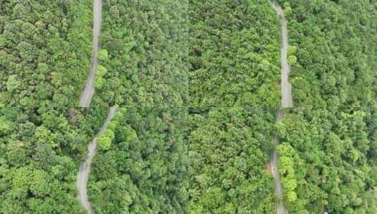 森林公路航拍山路树林道路俯拍林间道路风景高清在线视频素材下载