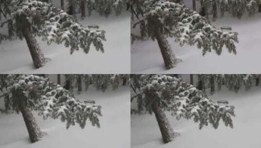贺兰山金顶雪景视频 (1)高清在线视频素材下载