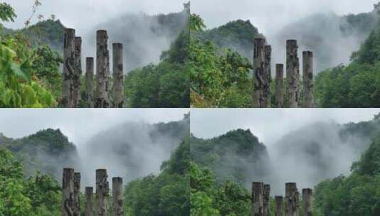 神农架神秘原始森林大山深处高清在线视频素材下载