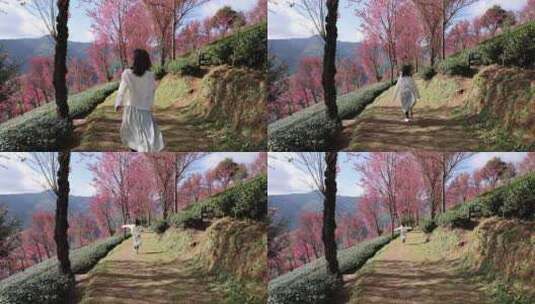 少女在樱花谷茶园奔跑背影慢镜头高清在线视频素材下载