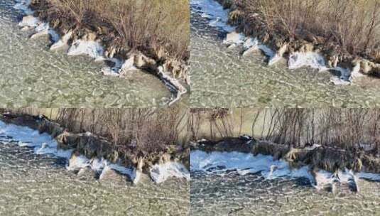 航拍高邮湖结冰高清在线视频素材下载