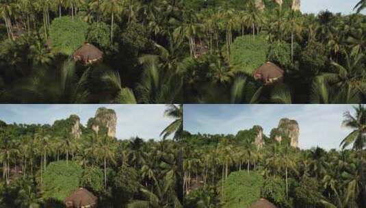 泰国甲米莱雷热带雨林棕榈树航拍自然风光高清在线视频素材下载