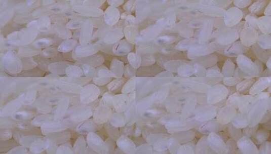 大米水稻粮食 五常大米高清在线视频素材下载