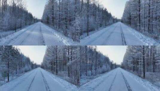 冬季雪景松林松树林林间道路冰雪路面高清在线视频素材下载