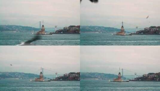 海鸟飞过伊斯坦布尔的港口，灯塔高清在线视频素材下载