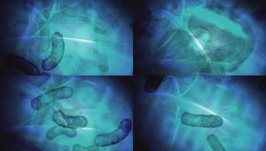 蠕虫 DNA 螺旋高清在线视频素材下载