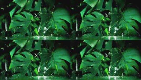 水滴从绿叶上流下高清在线视频素材下载