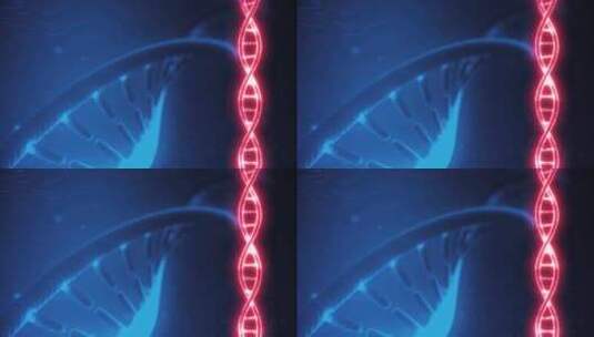 DNA修复基因工程生命技术高清在线视频素材下载