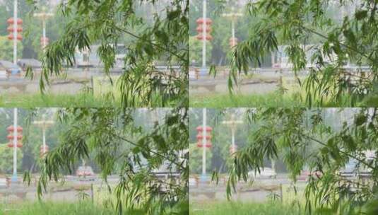 4K下雨天雨中的路边树叶高清在线视频素材下载
