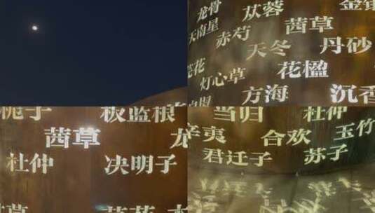 中医主题公园灯光文字装饰场景美陈高清在线视频素材下载