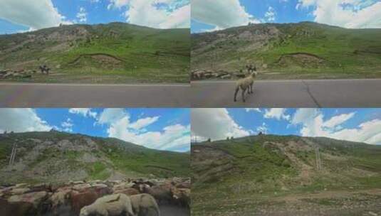 新疆伊昭公路风景高清在线视频素材下载