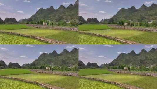 中国乡村田园风光航拍高清在线视频素材下载