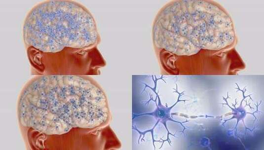 大脑神经 条件反射 信息传输 脑细胞高清在线视频素材下载