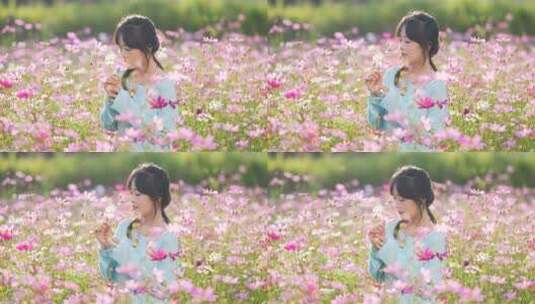 美女孩赏格桑花海中的少女轻嗅花香花田漫步高清在线视频素材下载