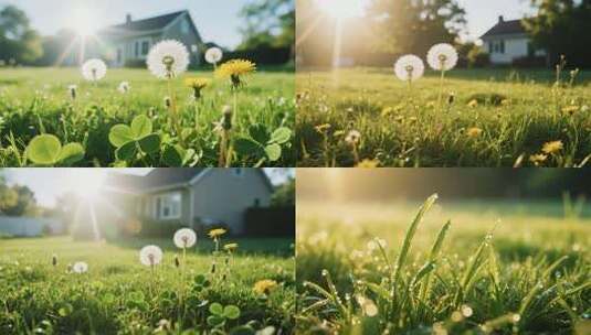 四季风光诗意家居动画高清在线视频素材下载