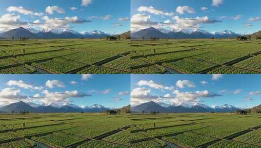 田野雪山自然风光全景高清在线视频素材下载