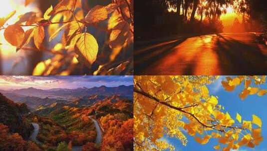 秋天朗诵通用高清在线视频素材下载